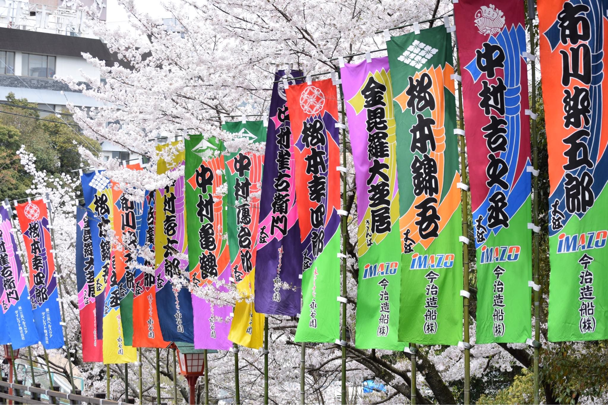 【全３回】人に伝えたくなる琴平学