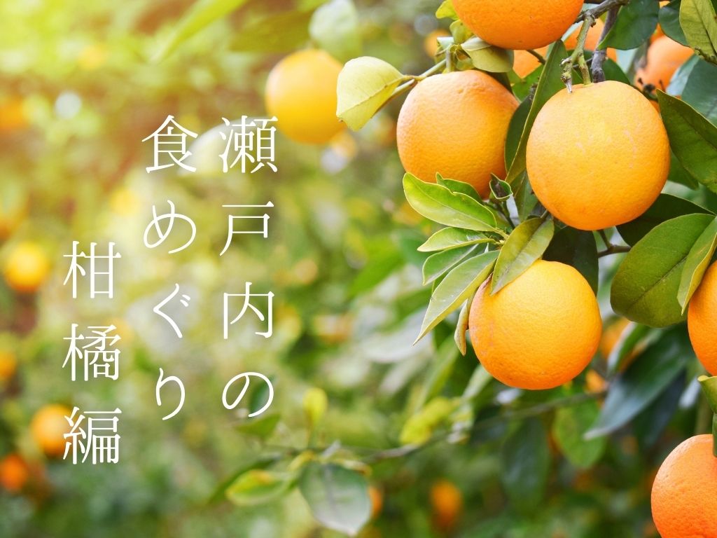 瀬戸内の食めぐりクラス～柑橘編第3期～